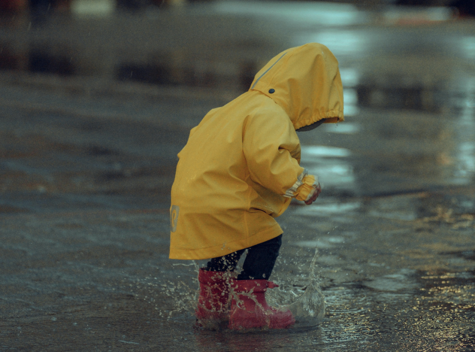 Погода у Києві та області 12-13 листопада/Фото: pexels Погода у Києві та області 12-13 листопада