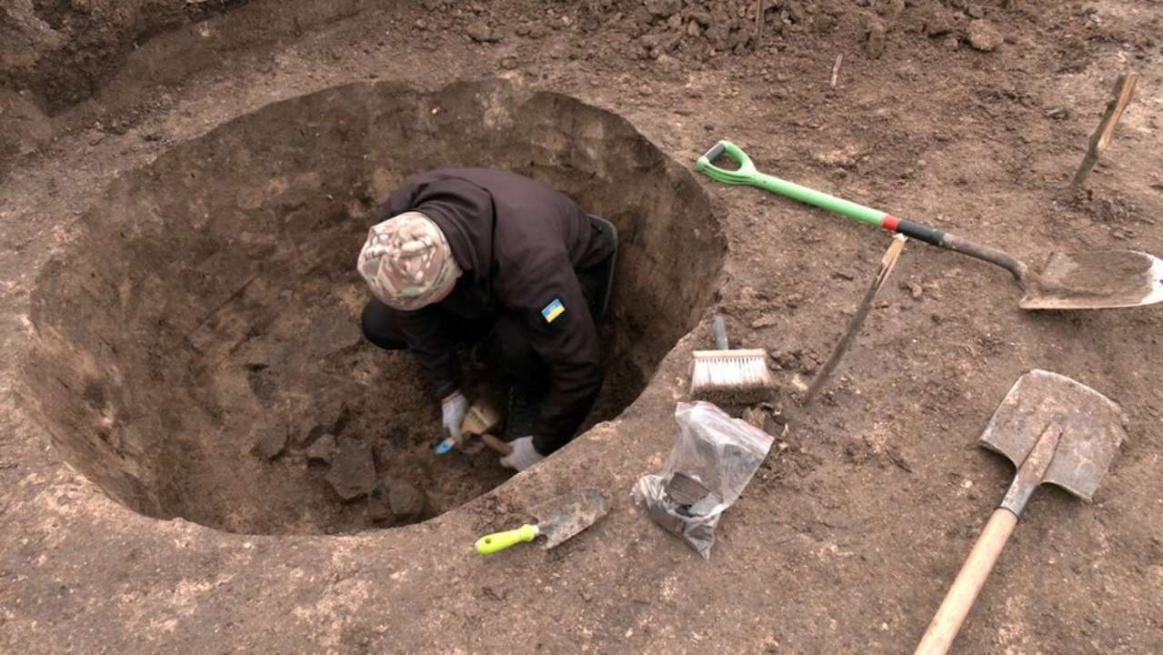 Фото: Суспільне Рівне біля Рівного археологи знайшли скелет самки лося