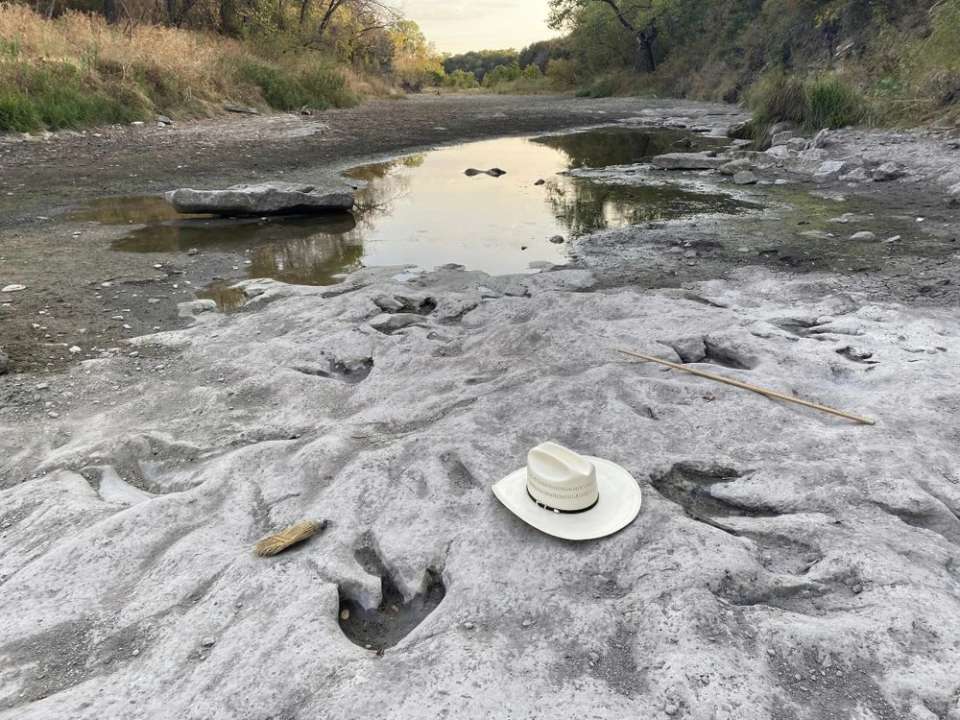 В Техасе засуха обнажила следы динозавров/Фото: Paul Baker /Friends of Dinosaur Valley State Park/Facebook Окаменевшие следы динозавров