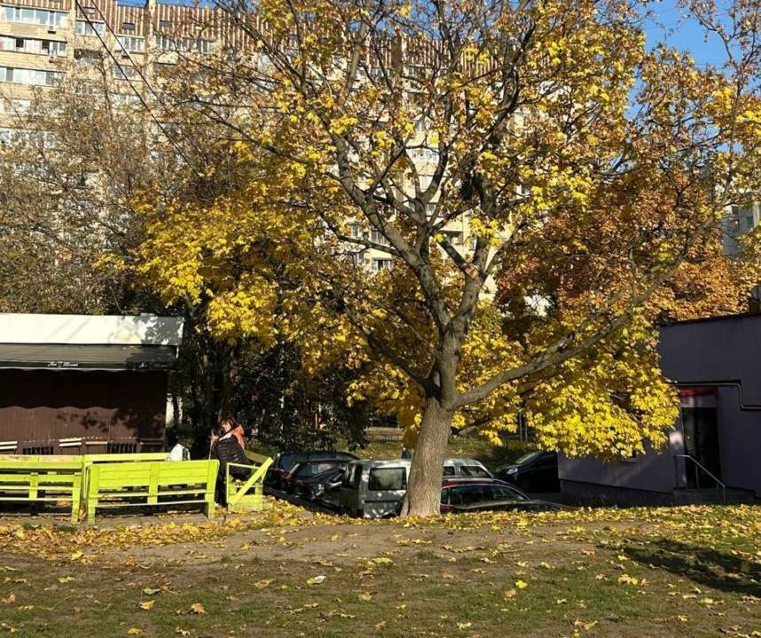 У більшості областей України переважатиме суха погода У більшості областей України переважатиме суха погода