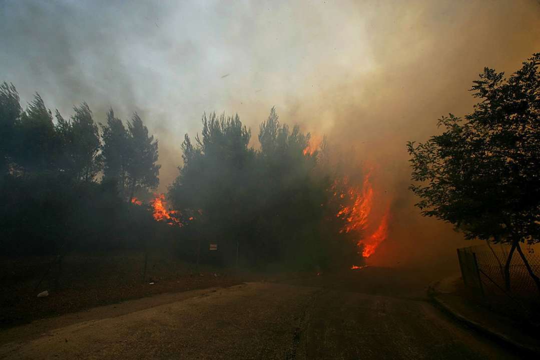 Фото: GettyImages Лісові пожежі в Греції: експерти попереджають про можливу екологічну катастрофу