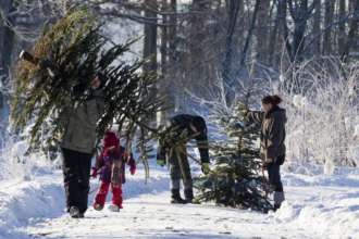 Синоптик рассказала, ждать ли украинцам снега на Новый год. Фото: Joern Haufe for Getty Images Getty Images