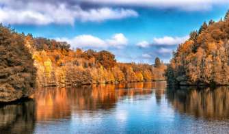 Коли осіннє рівнодення 2022/Фото: Pixabay ліс