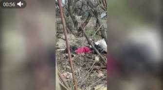 Погибших обнаружили бойцы ГПСУ во время аэроразведки территории Погибших обнаружили бойцы ГПСУ во время аэроразведки территории