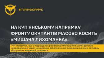 Хвороба має вірусний характер та передається до людини від гризунів На Куп’янському напрямку в російських підрозділах зафіксовано спалах "мишачої лихоманки" – ГУР