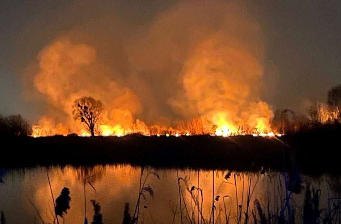 Пожежа на Осокорківських озерах: поліція розглядає всі версії, включно з підпалом/Фото: ДСНС Пожежа на Осокорківських озерах: вигоріло близько 3 гектарів території