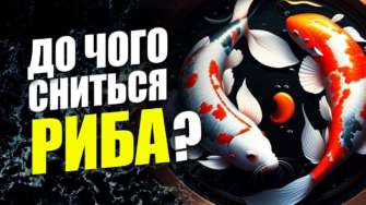 К чему снится рыба / Фото: МЕТА К чему снится рыба? Значение сновидения для женщин и мужчин