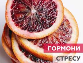 Языком стресса для тела выступают основные гормоны: адреналин (+норадреналин), кортизол и ДГЭА (дегидроэпиандростерон). Фото: instagram.com/_food_association Языком стресса для тела выступают основные гормоны: адреналин (+норадреналин), кортизол и ДГЭА (дегидроэпиандростерон). Фото: instagram.com/_food_association