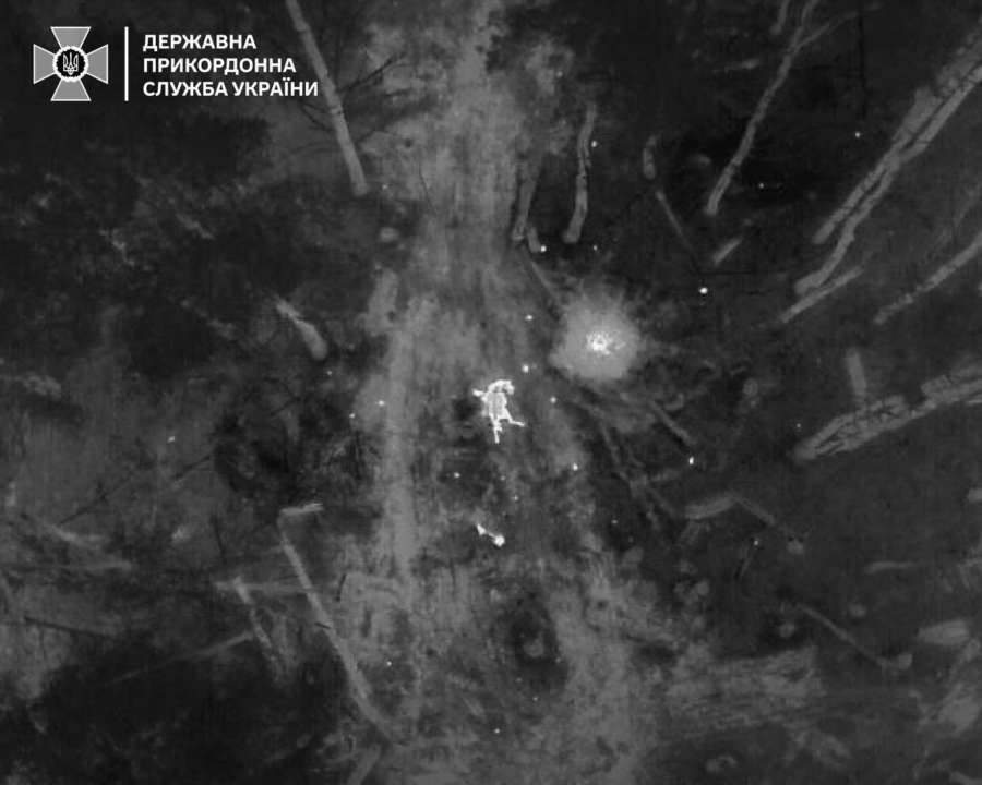 На міні підірвався червонокнижний кінь / Фото: ДПСУ Через ворожу міну загинув червонокнижний кінь