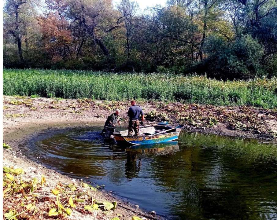 На Хортице спасают рыбу от удушья/Фото: Госэкоинспекция Южного округа На Хортице спасают рыбу от удушья - экоинспекция