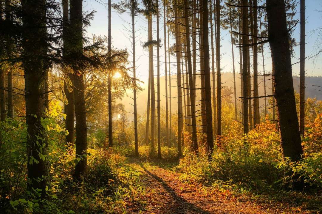 Летний характер погоды продлится всю следующую неделю. Фото: pixabay.com Ожидается тёплая и преимущественно сухая погода в большинстве областей