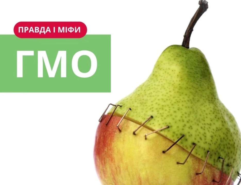 Сказать "да" или "нет" ГМО? Вопрос, на который у каждого есть свой ответ. Однако факты показывают, что ГМО могут оказаться полезными Сказать "да" или "нет" ГМО? Вопрос, на который у каждого есть свой ответ. Однако факты показывают, что ГМО могут оказаться полезными