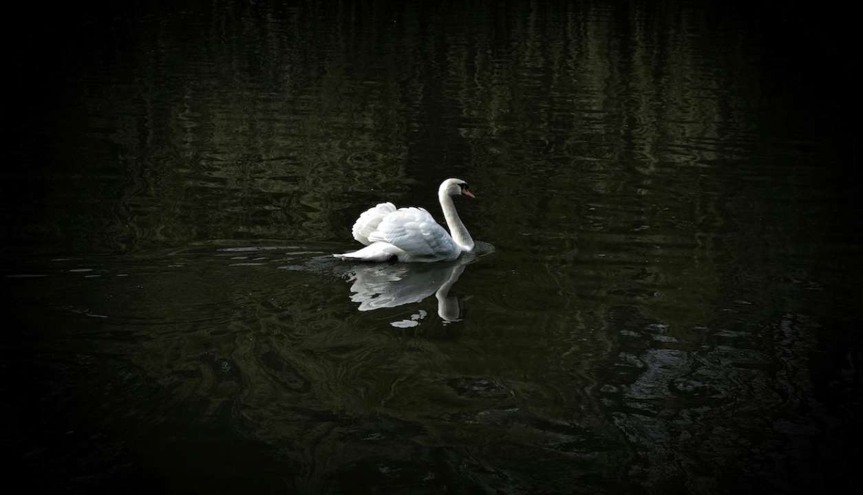 Хто святкує день ангела 26 вересня/Фото: Unsplash Хто святкує день ангела 26 вересня/Фото: Unsplash