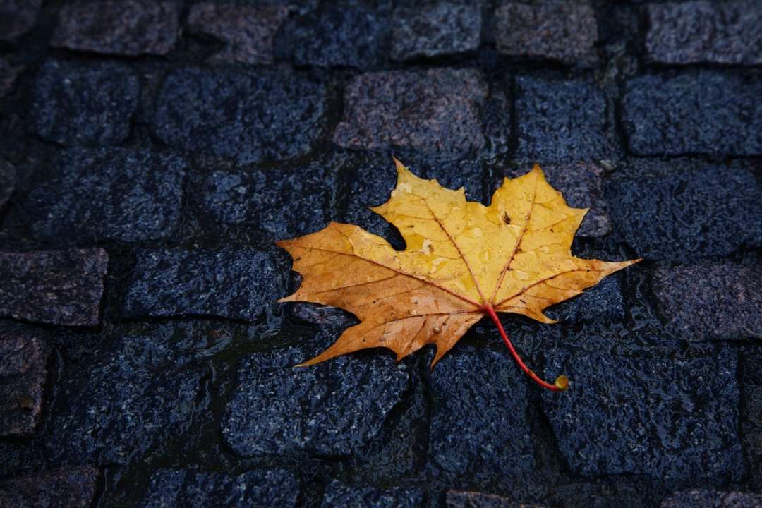 Прогноз погоды на 4 октября / Фото: Pixabay Время забыть о тепле: прогноз погоды на 4 октября