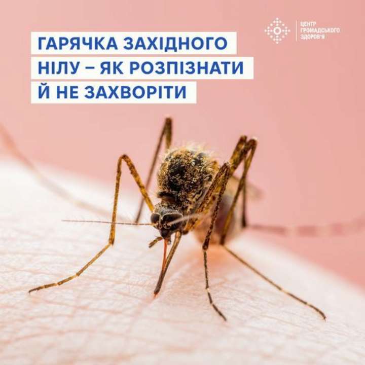Лихорадка Западного Нила: что стоит знать о болезни и как предупредить