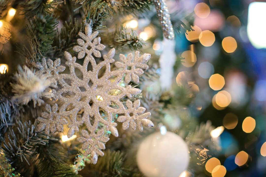Carol of the Bells: солдаты НАТО выполнили англоязычную версию "Щедрыка"