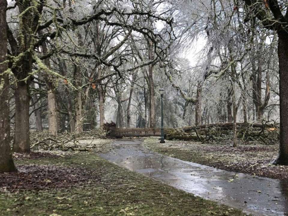 Парк