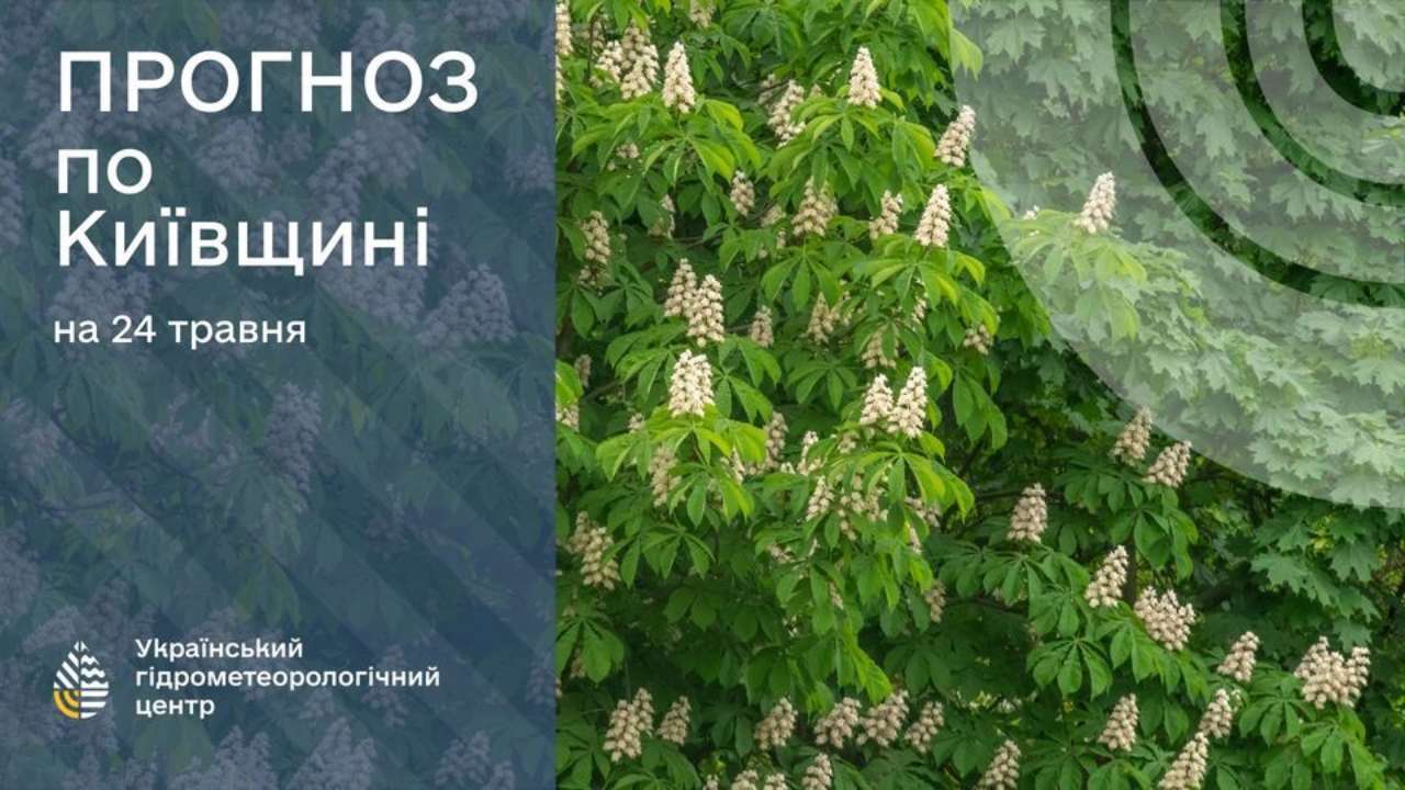 24-26 травня надзвичайний рівень пожежної небезпеки