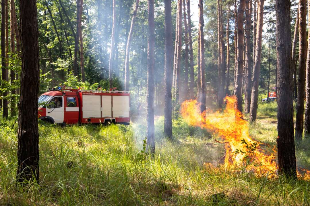 Киевлянам напомнили правила безопасного отдыха / Фото: КГГА В Киеве пожарная опасность: КГГА напомнила правила безопасного отдыха