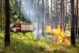 Киянам нагадали правила безпечного відпочинку / Фото: КМДА У Києві пожежна небезпека: КМДА нагадала правила безпечного відпочинку