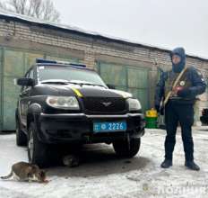 Фото с ТГ-канала МВС України Полицейские из разных уголков Украины помогают животным пережить сильные морозы