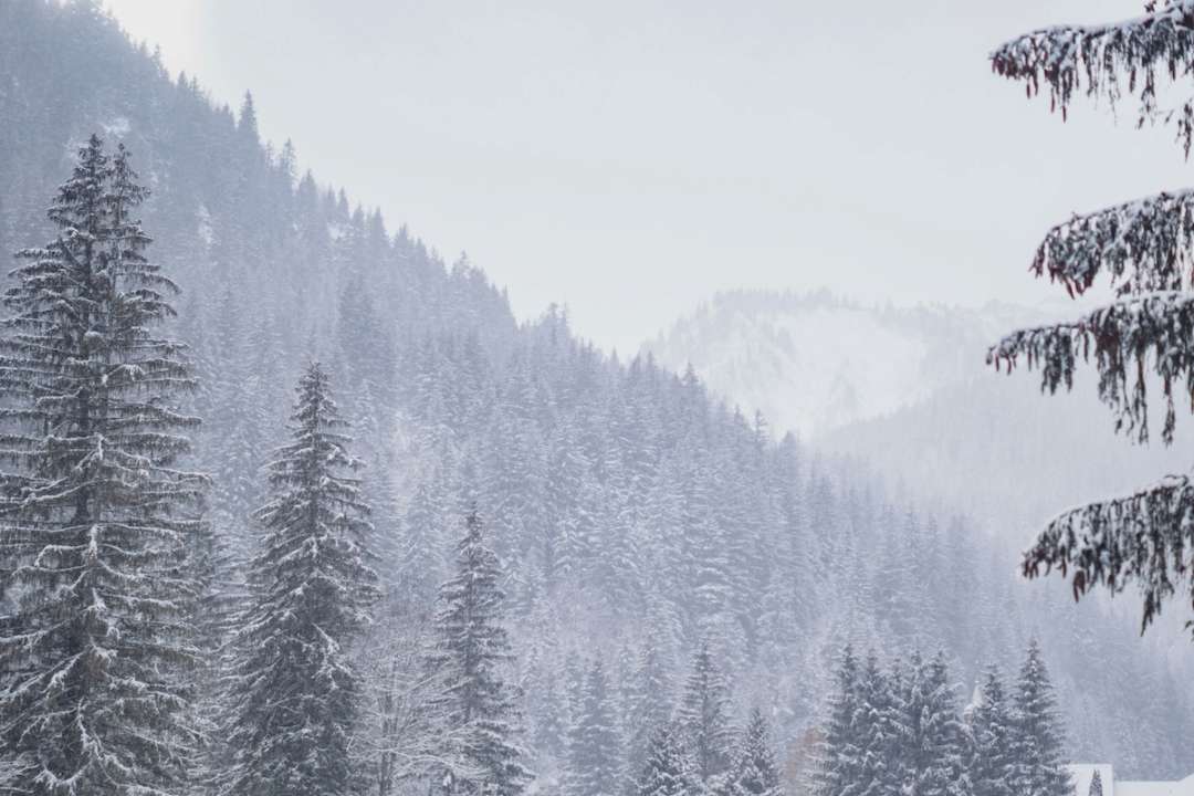 Именины 24 февраля/Фото: Unsplash Именины 24 февраля/Фото: Unsplash