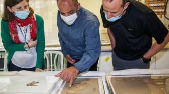 Фото: Israel Antiquities Authority В Израильских пещерах нашли библейские тексты возрастом в два тысячелетия