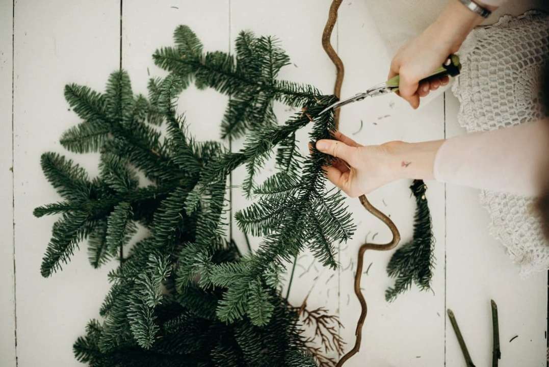 Яка штучна ялинка найкраща/Фото: Pexels На що звернути увагу при виборі штучної ялинки: поради щодо вибору