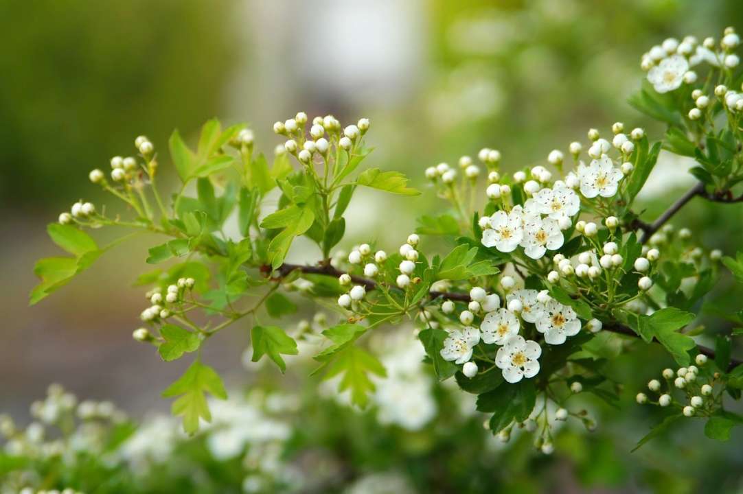 Погода в Украине на 18 апреля 2023 года/Фото: Pixabay