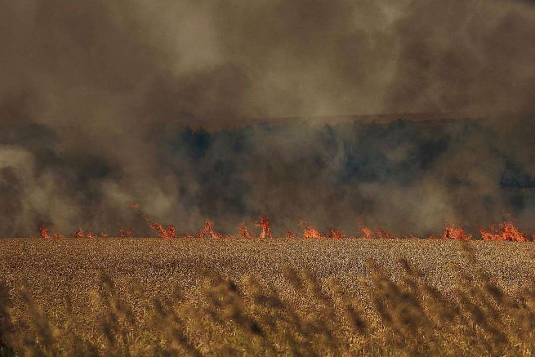 На Донеччині знищено понад 70 га пшениці. Фото: @yurii_horskyi Горить пшениця
