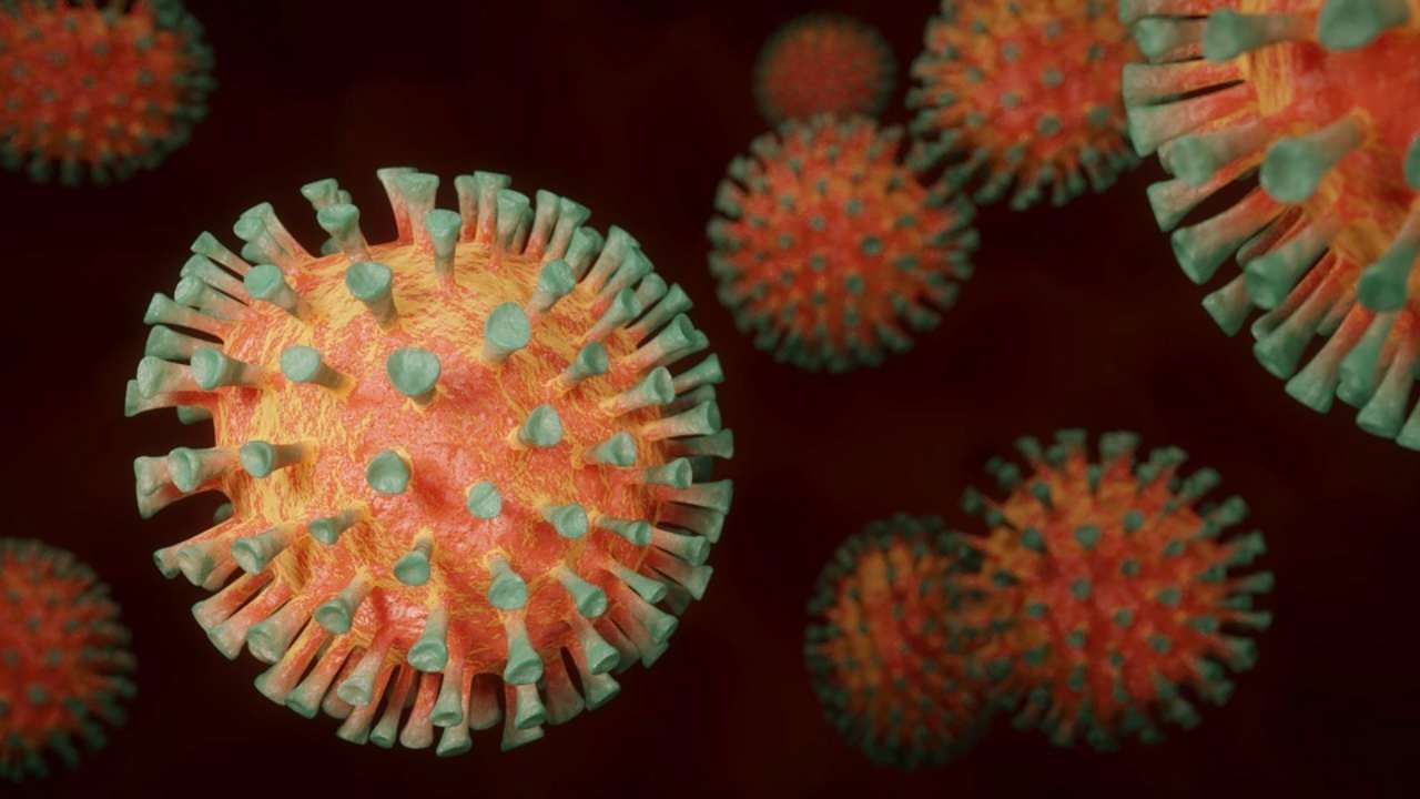 Учені виявили новий вірус / Фото: Pixabay Учені виявили новий вірус, який є дивом з точки зору еволюції