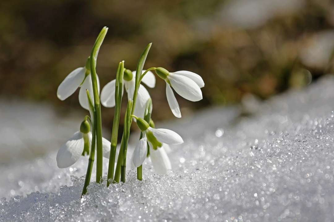 Прогноз погоды на 21 марта / Фото: Pixabay Каким будет день весеннего равноденствия: прогноз погоды на 21 марта