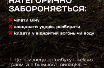 Фото: dsns_telegram Особливість осколкових протипіхотних мін та як із ними поводитися: поради від ДСНС