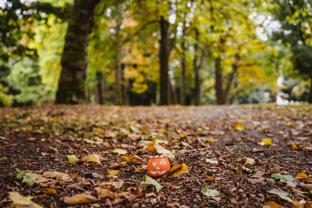 Народні прикмети на 2 листопада/Фото: pexels Усі ваші гріхи будуть прощені: народні прикмети на 2 листопада