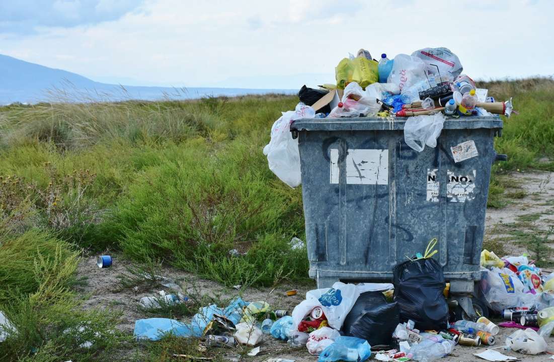 У Харкові порушників чистоти почали знімати на відео У Харкові порушників чистоти почали знімати на відео