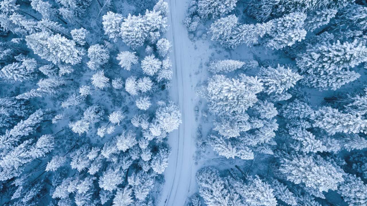 Погода на 23 грудня в Україні/Фото: pexels Погода на 23 грудня в Україні: водіям варто бути особливо обережними