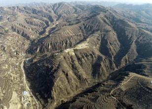 Фото: Shaanxi Academy of Archaeology На севере Китая археологи обнаружили город с элитными гробницами бронзового века