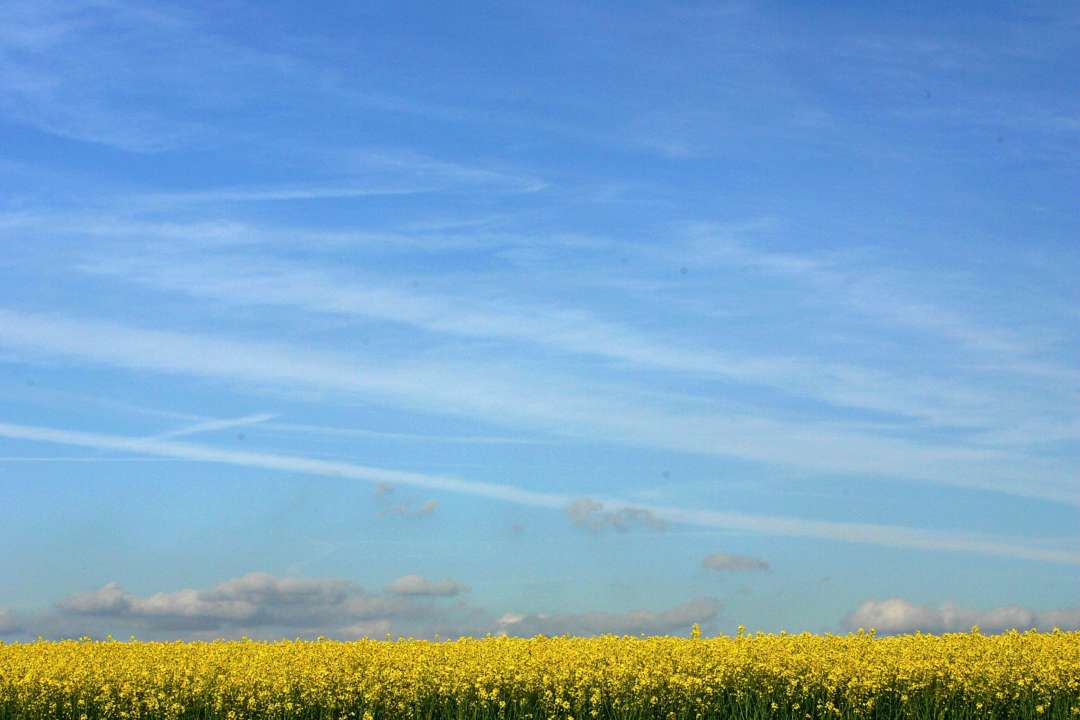 Какая погода ожидает украинцев  в июне