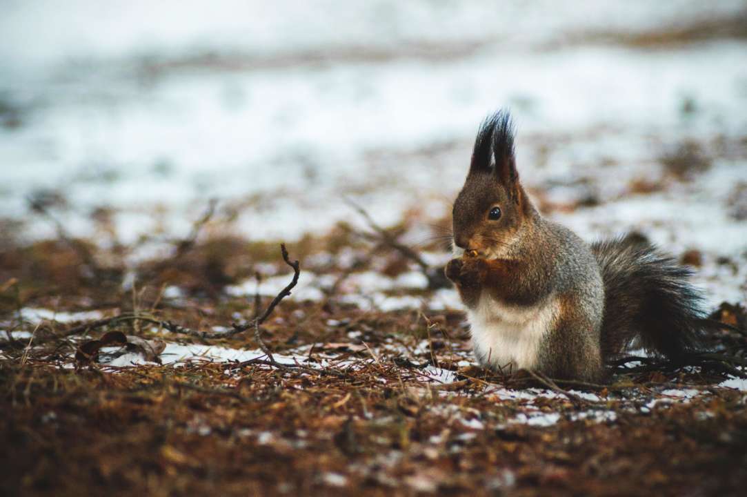 Прогноз погоды в Украине на 12 января2022/Фото: Unsplash