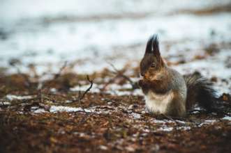 Прогноз погоди в Україні на 12 січня2022/Фото: Unsplash Прогноз погоди в Україні на 12 січня2022/Фото: Unsplash