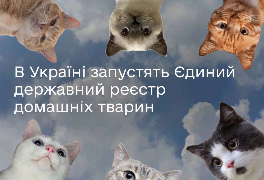 В Украине появится Реестр домашних животных / Фото: t.me/mintsyfra