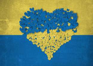 Германия не разрешила использование украинской символики. Фото: Pixabay/Автор- Alexandra_Koch Германия запретила использовать украинский флаг