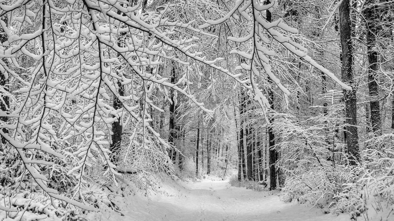 Прикмети на 30 січня / Фото: Pixabay Прикмети на 30 січня: що заборонено робити у цей день