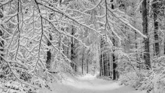 Приметы на 30 января / Фото: Pixabay Приметы на 30 января: что запрещено делать в этот день