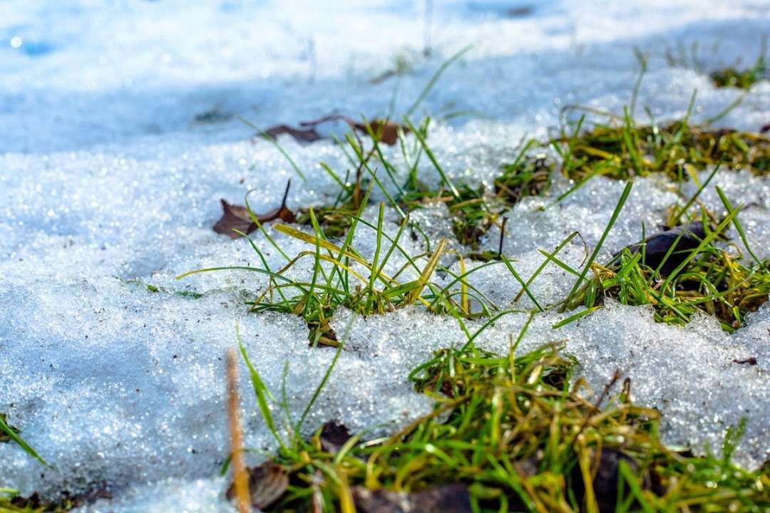 Синоптики говорять готуватися до похолодання / Фото: Pixabay Березень здивує мінливістю: синоптик прогнозує кардинальну зміну погоди