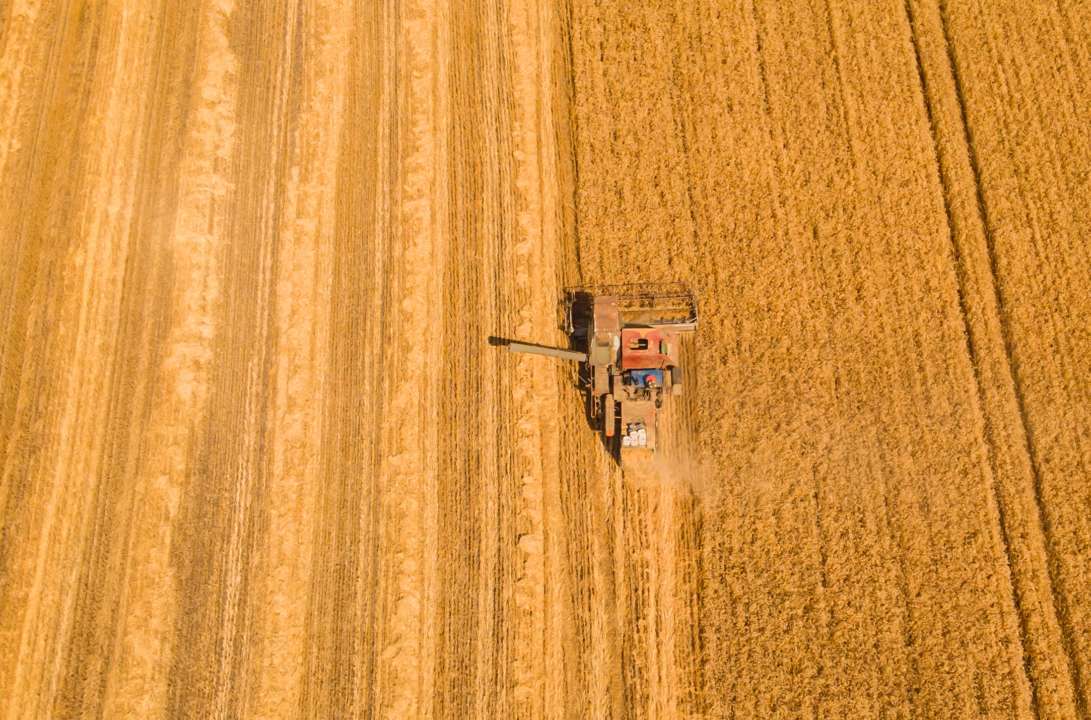 У ЄС можуть заборонити ввезення зерна з України / Фото: Oleksandr Ryzhkov/Freepik У ЄС можуть заборонити ввезення зерна з України / Фото: Oleksandr Ryzhkov/Freepik