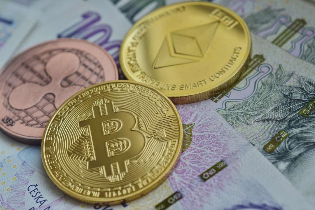 Украинцы больше не смогут бесплатно проживать в Чехии