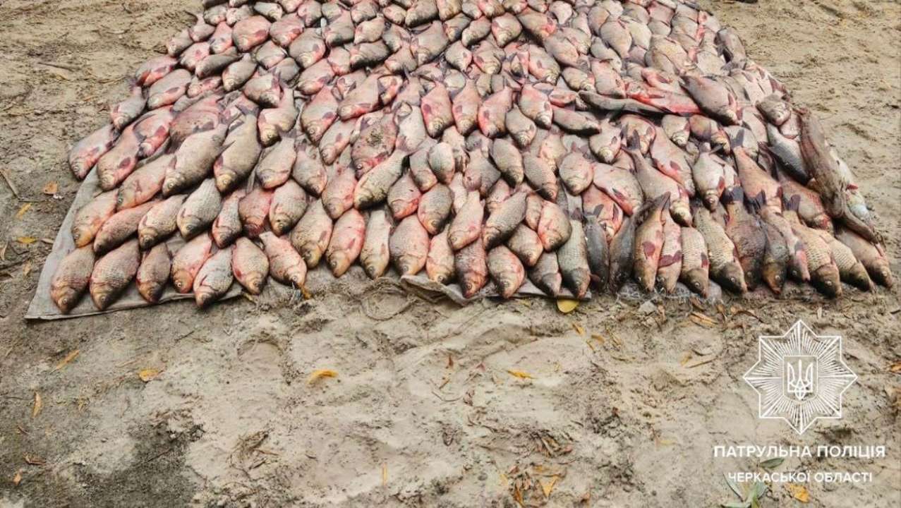Чоловіки завдали збитків на суму понад 2 000 000 гривень/Фото: Патрульна поліція У Черкаській області "на гарячому" зловили прихильників незаконного вилову риби