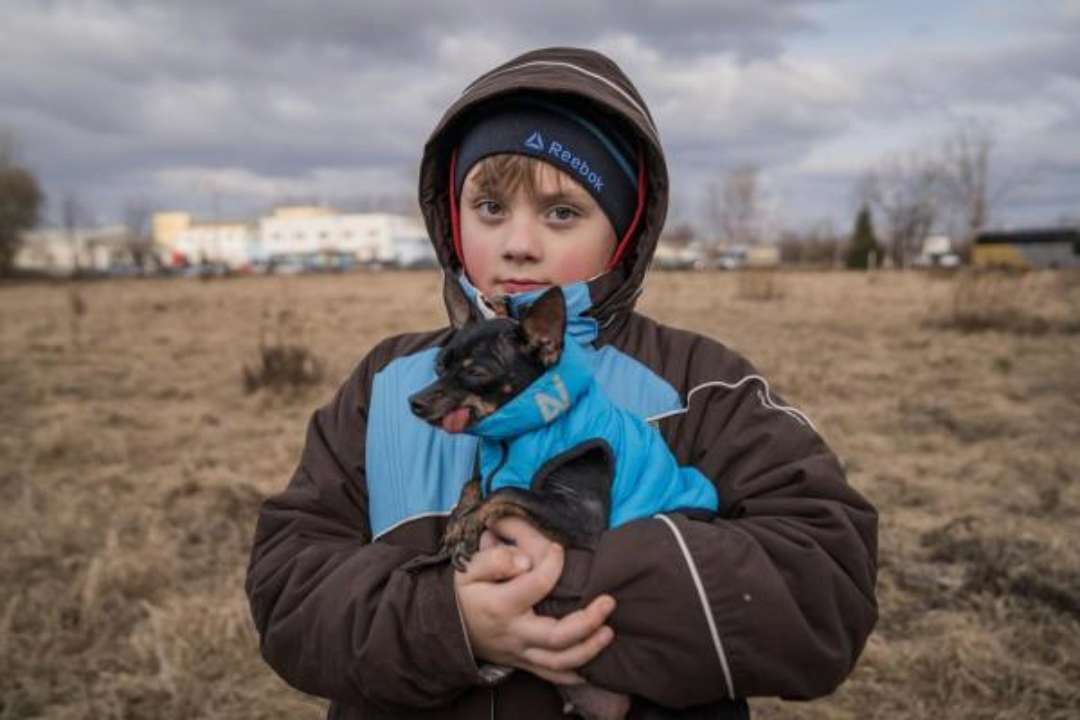 В ЮНИСЕФ готовы помочь эвакуировать украинских детей с оккупированных территорий