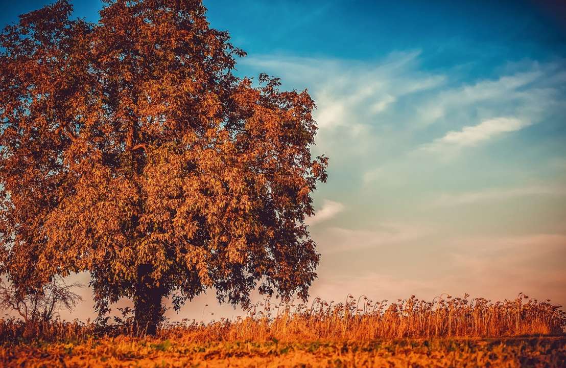 Приметы на 27 октября / Фото: Pixabay Поступки вернутся бумерангом: приметы на 27 октября